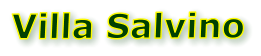Villa Salvino
