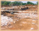2004